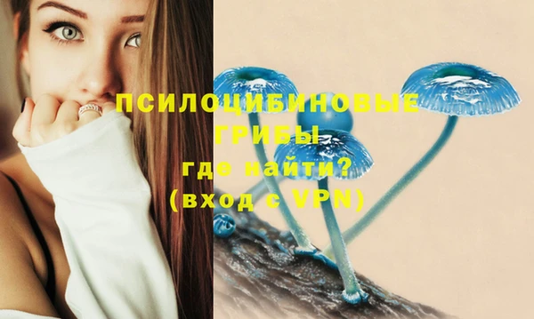 каннабис Верея